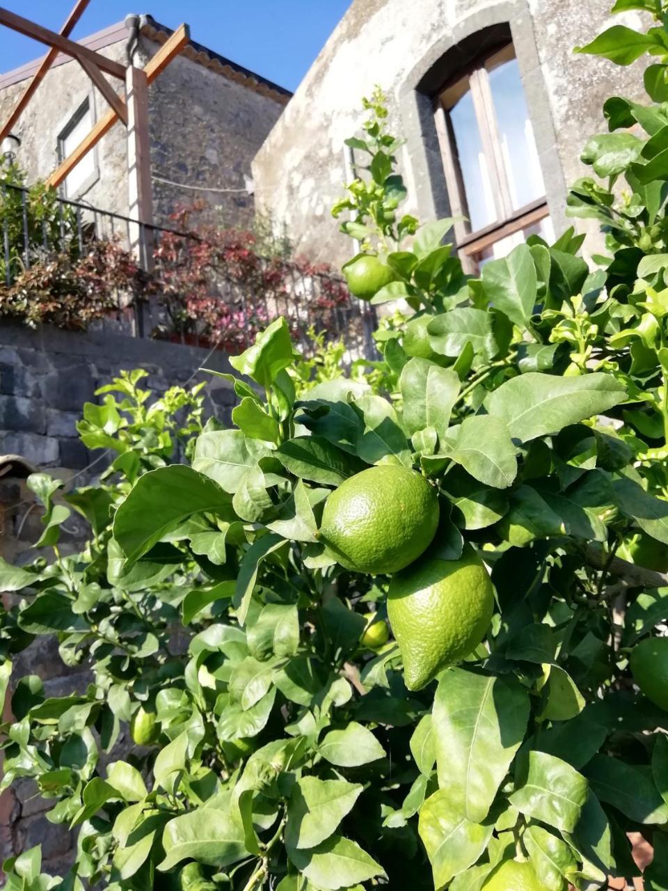 La Pietra Antica O' Munti Villa Mascali Exterior foto