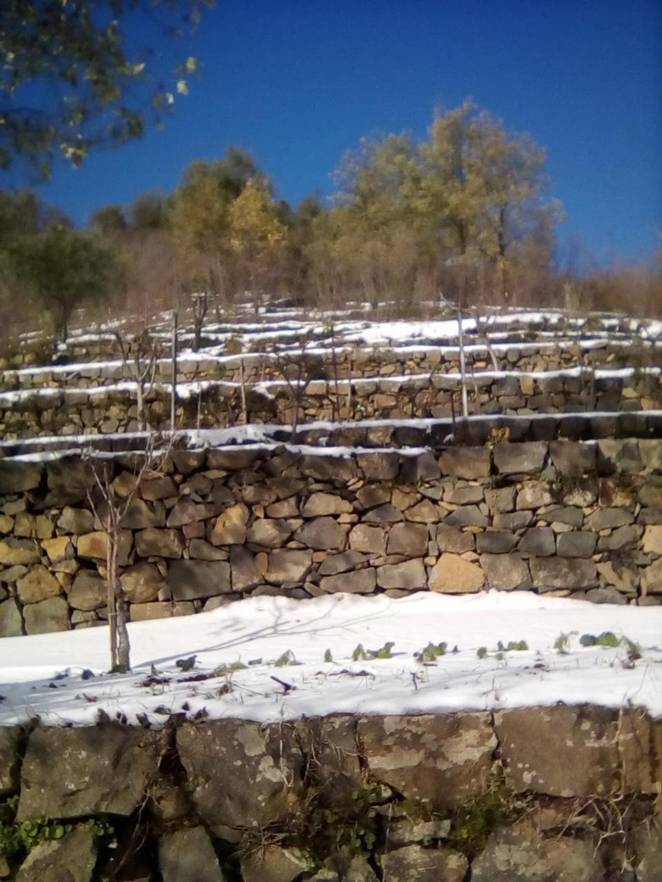 La Pietra Antica O' Munti Villa Mascali Exterior foto