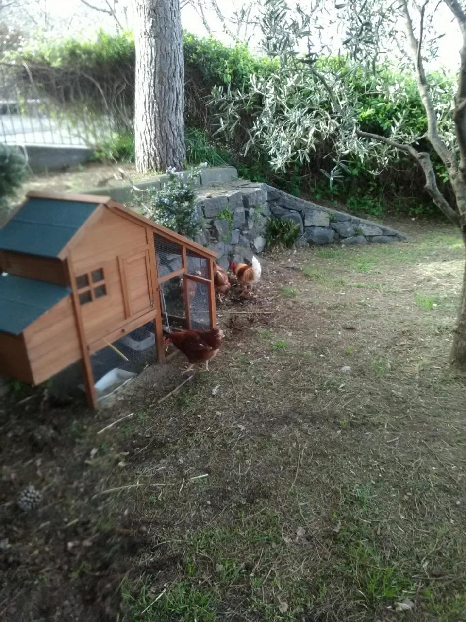 La Pietra Antica O' Munti Villa Mascali Exterior foto